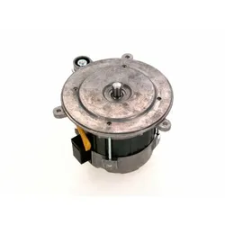 Sieger/Buderus Ersatzteil Motor HG 170W everp