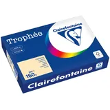 Clairefontaine Kopierpapier Trophée chamois DIN A4 160 g/qm 250 Blatt