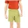 Black Diamond Notion Shorts Regular Grün L