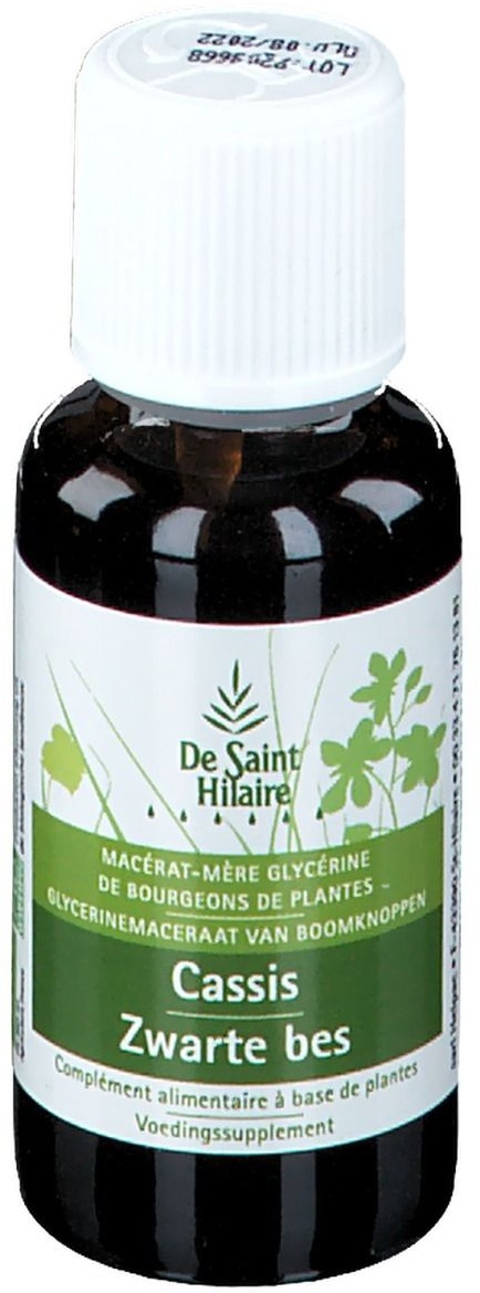 Bioholistic De Saint Hilaire Cassis 30 ml gel(s)