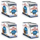 Royal Canin 48 x 85 g Royal Canin Light Weight Care in Gelee Nassfutter Katze