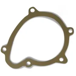 ELWIS ROYAL Dichtung, Wasserpumpe  für VOLVO 1378491 4555545