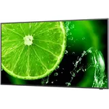 NEC MultiSync E328 32"