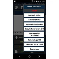 5" Handy MINI-Kassenterminal für Einzelhandel mit Blitzkasse Express Kassensoftware