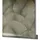 Marburg Blissful Botanics Vliestapete 53 cm x 10 m 0 g gold 34193
