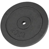 Hantelscheibe aus Gußeisen, Bohrung ø 3 cm, 20 kg, Stück
