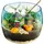 CLEMENTONI Harry Potter - Terrarium