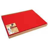 PROnappe 100 PROnappe Platzsets rot 30,0 x 40,0 cm