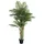 vidaXL Palme Künstlich mit 3 Stämmen Grün 180 cm Pp