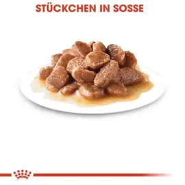 Royal Canin Sterilised in Soße 12 x 85 g