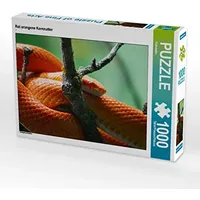 Calvendo Rot orangene Kornnatter 1000 Teile Puzzle quer