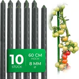 Novatool Pflanzstab 60 cm
