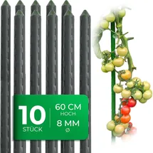 Novatool Pflanzstab 60 cm