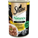 Sheba Nassfutter für Katzen Geflügelcocktail mit Leber und Fischöl mit Karottenbeilage, in Terrine