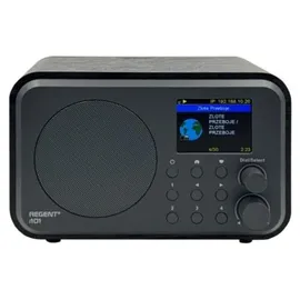 Ferguson Regent i101 schwarz