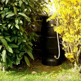 Yerd Regenfass 170 l Schwarz