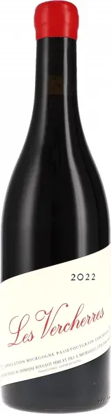 Bourgogne Passetoutgrain Les Vercherres Sans Sulfite Ajouté Rougeot Père & Fils MAGNUM 2022 BIO