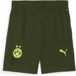 Puma BVB Training Shorts myrtle-yellow alert (07) 3XL
