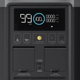EcoFlow Dual Fuel