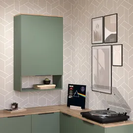 Vicco Hängeschrank Holzwerkstoff 60 x 100 cm Grün mit Tür