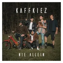 375 Media GmbH Nie Allein (Black Vinyl)