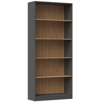 Topeshop R80 ANT/ART Bücherregal für Büros
