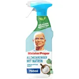 Meister-Proper Meister Proper Allzweckreiniger, Spray Natron, 750ml