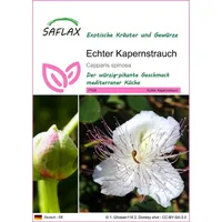 SAFLAX - Kräuter - Echter Kapernstrauch - 25 Samen