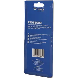 BRILLIANT TOOLS Splintentreiber-Satz 6-tlg (BT085006)