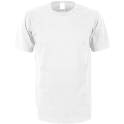 Gildan Premium Cotton T-Shirt, white, 2XL