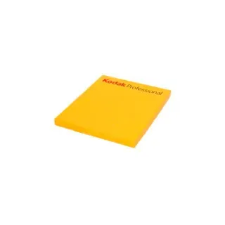 KODAK Portra 160 4x5 Inch 10 Blatt (Angebot)