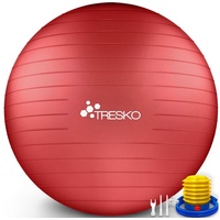 TRESKO Gymnastikball mit GRATIS Übungsposter inkl. Luftpumpe - 65cm, Pumpe, rot