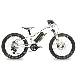 ben-e-bike, TWENTY E-Power PRO, 20" Kinder E-Bike 2024