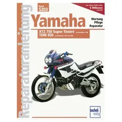 Bucheli Reparaturhandbuch Old- und Youngtimer