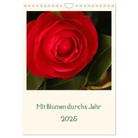Calvendo Mit Blumen durchs Jahr (Wandkalender 2025 DIN A4