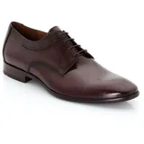 LLOYD Business Schnürschuhe in braun, Gr.: 46,5