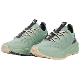 Jack Wolfskin Damen Ps Trail Knit Low Schuhe (Größe 40.5, gruen)