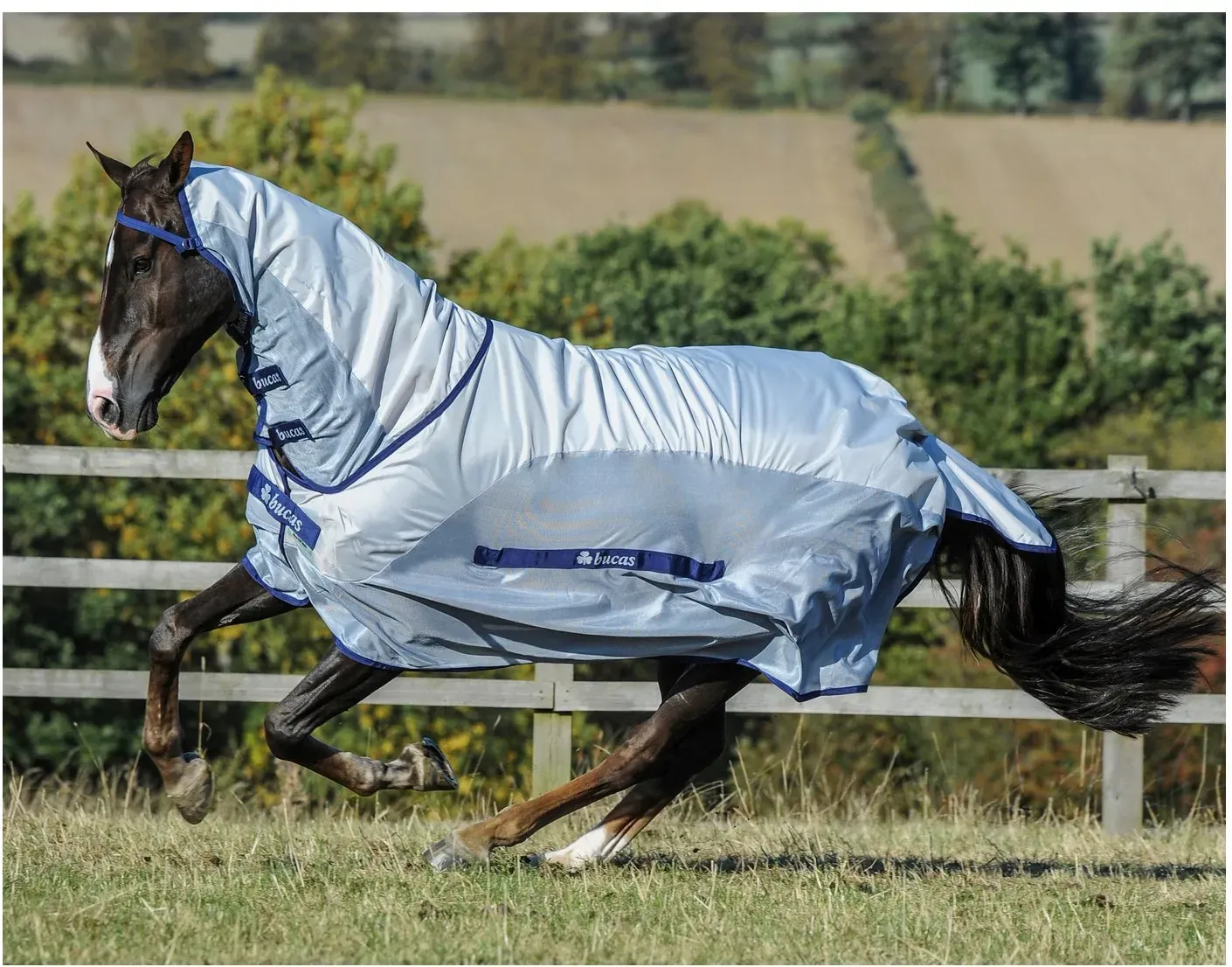 Bucas Sommerdecke Buzz-Off Rain silver/blue 165 cm