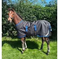 Horseware Amigo Ripstop 900D Foal Rug Turnout 50g Weidedecke