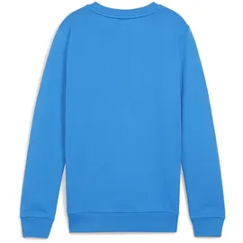 Puma teamGOAL Casuals Crew Neck Sweatshirt Jungen 02 ignite blue/white 164