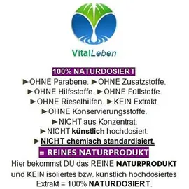 Vitalleben GUTE NACHT Baldrian Hopfen Melisse Kapseln 180 St.