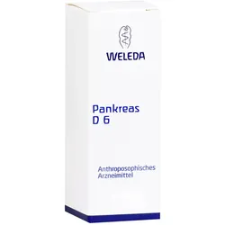 Pankreas D 6