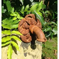 Antikas Wandbrunnen Antikas