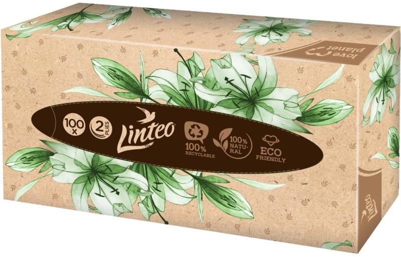 Linteo Paper Tissues Two-ply Paper, 100 pcs per box Papiertaschentücher 100 St.