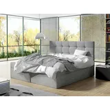 Mirjan24 Boxspringbett Luanda Doppelbett Bettgestell Bettkasten, Schlafzimmer M24 - 140x200 - Muna 08.,