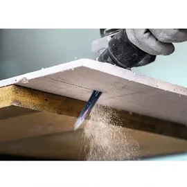 Bosch Säbelsägeblatt Expert ‘Fiber Plaster’ S 641 HM Länge 150 mm 1 Stück