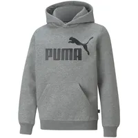 Puma Hoodie Grey 104