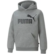 Puma Hoodie Grey 104