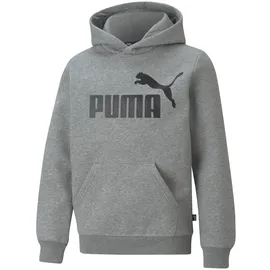 Puma Hoodie Grey 104