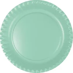 10 große Teller mint mit Bio-Beschichtung